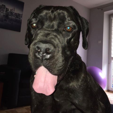 Hollcia wysyła wszystkim uśmiech i pozdrowienia